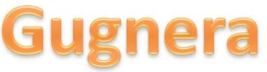 gugnera.com